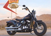 Harley-Davidson FLSTSB Softail Cross Bones